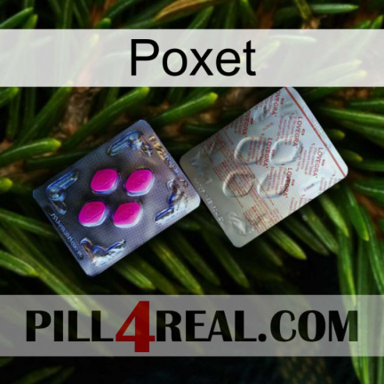 Poxet 38